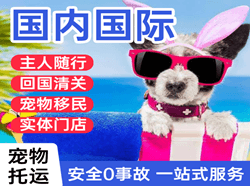 启阳航空货运国际宠物托运 【国